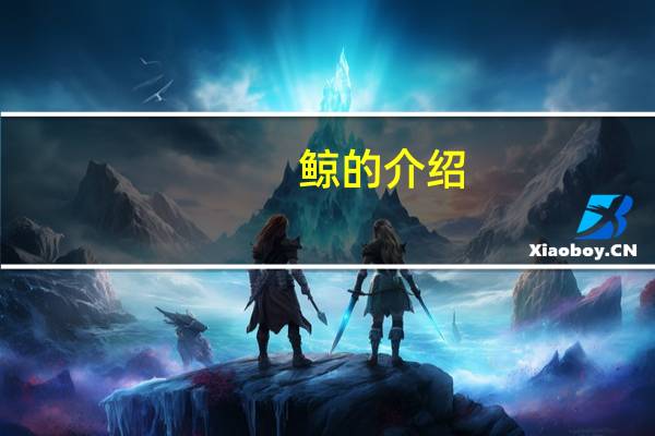 鲸的介绍（关于鲸的介绍的介绍）
