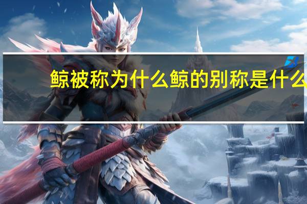 鲸被称为什么 鲸的别称是什么