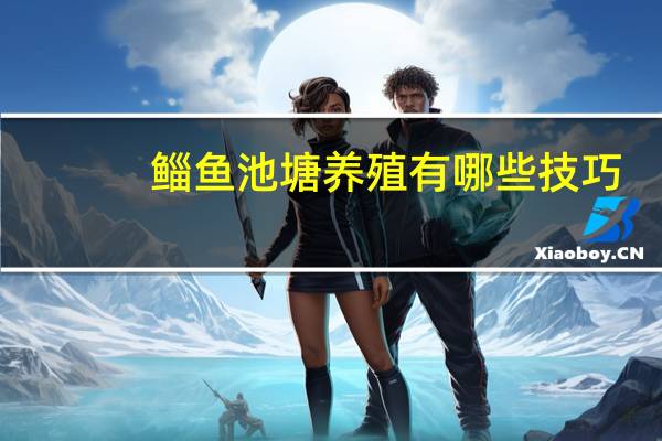 鲻鱼池塘养殖有哪些技巧