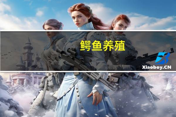 鳄鱼养殖（鳄鱼鳄鱼）