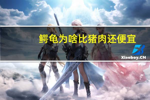 鳄龟为啥比猪肉还便宜