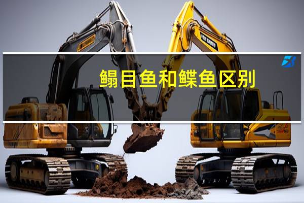 鳎目鱼和鲽鱼区别
