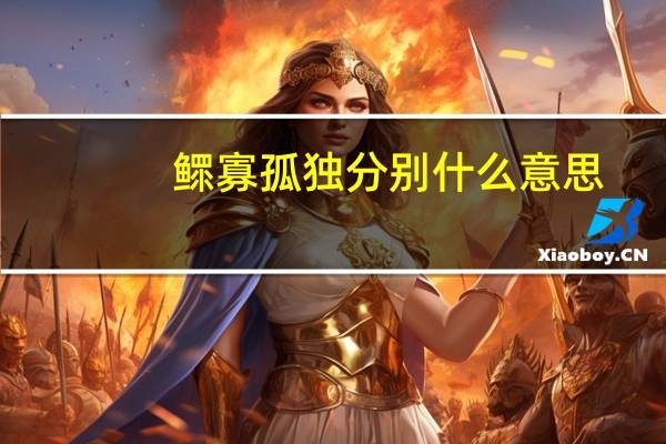 鳏寡孤独分别什么意思