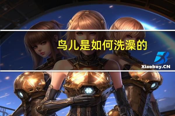 鸟儿是如何洗澡的