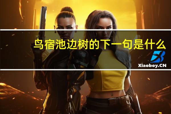 鸟宿池边树的下一句是什么