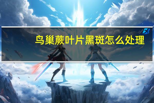 鸟巢蕨叶片黑斑怎么处理