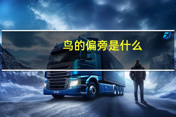 鸟的偏旁是什么