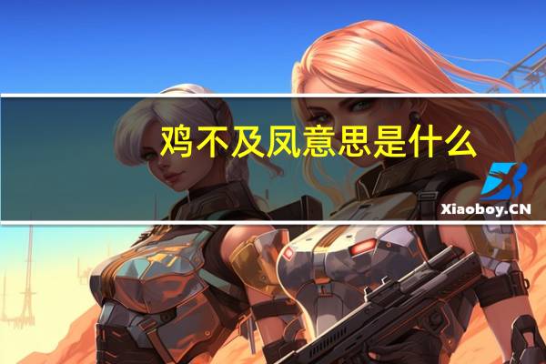 鸡不及凤意思是什么
