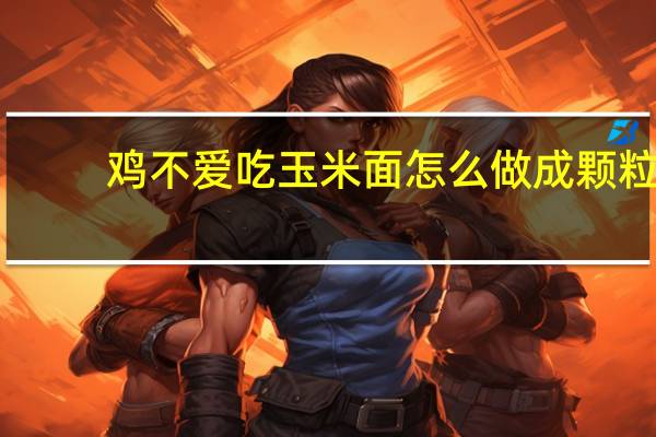 鸡不爱吃玉米面怎么做成颗粒