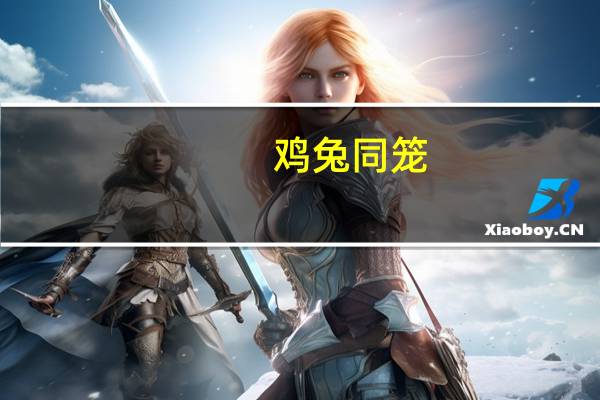 鸡兔同笼（关于鸡兔同笼的介绍）