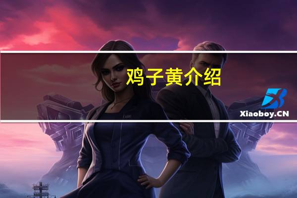 鸡子黄介绍