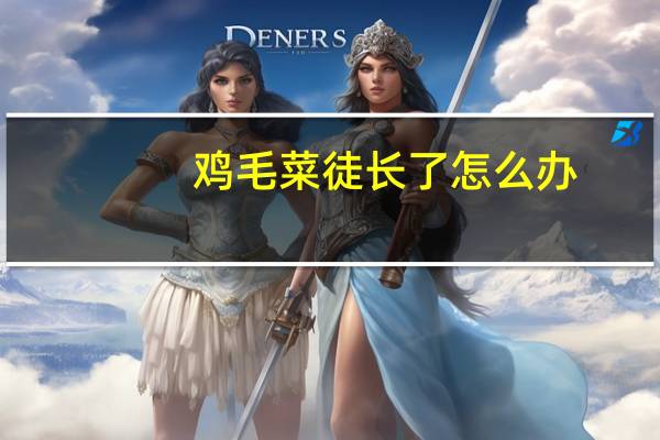 鸡毛菜徒长了怎么办