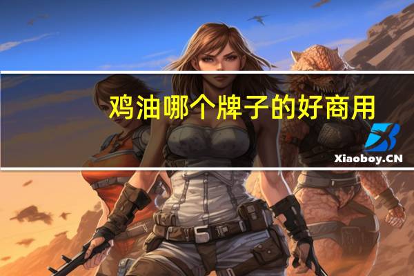 鸡油哪个牌子的好商用