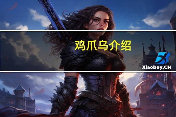 鸡爪乌介绍