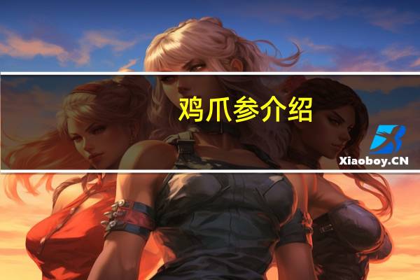 鸡爪参介绍