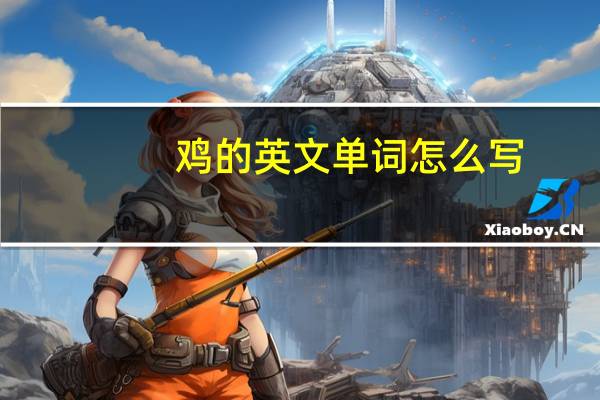 鸡的英文单词怎么写