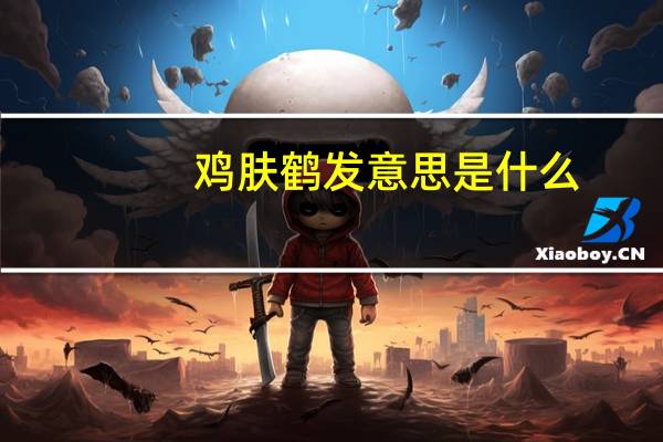 鸡肤鹤发意思是什么