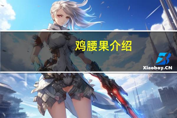 鸡腰果介绍