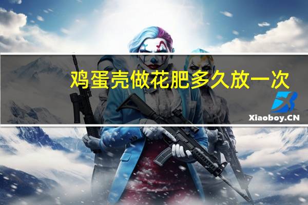 鸡蛋壳做花肥多久放一次（鸡蛋壳做花肥的步骤）