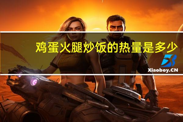 鸡蛋火腿炒饭的热量是多少