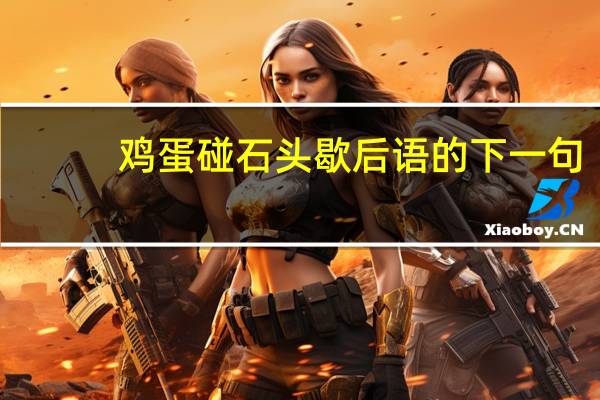 鸡蛋碰石头歇后语的下一句（鸡蛋碰石头）