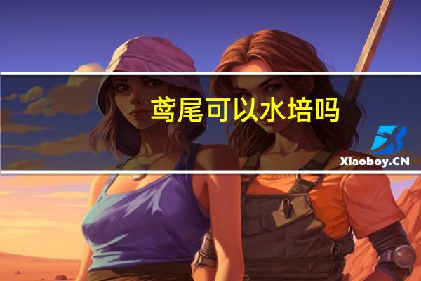 鸢尾可以水培吗
