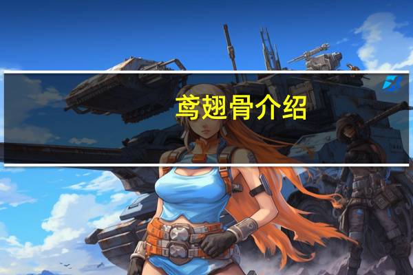 鸢翅骨介绍