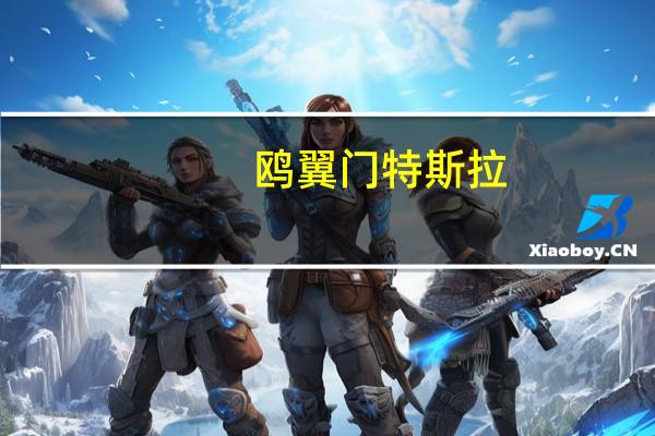 鸥翼门特斯拉（鸥柏）