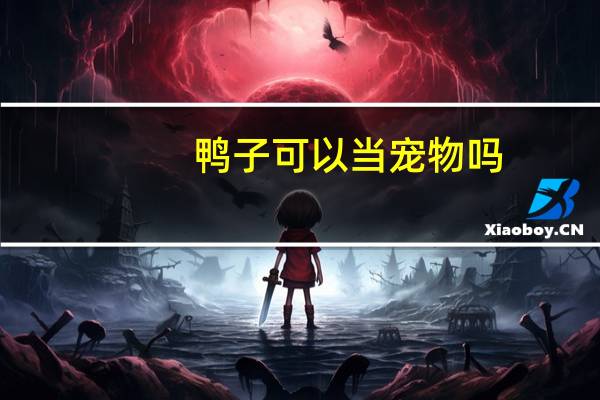 鸭子可以当宠物吗