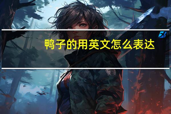 鸭子的用英文怎么表达？