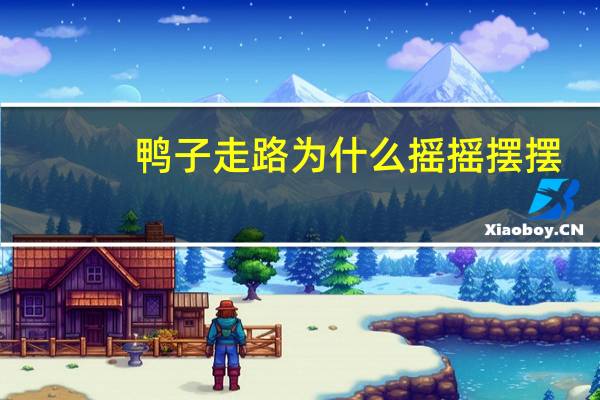 鸭子走路为什么摇摇摆摆