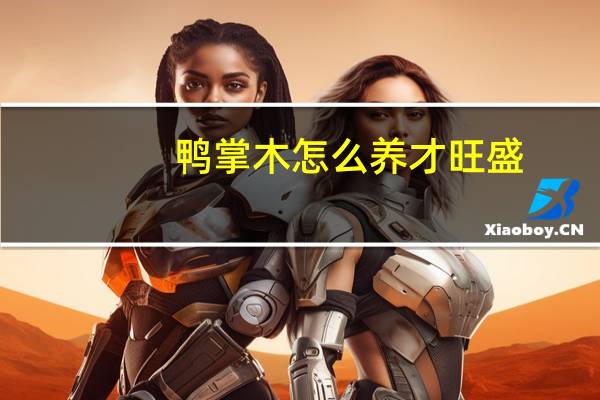 鸭掌木怎么养才旺盛