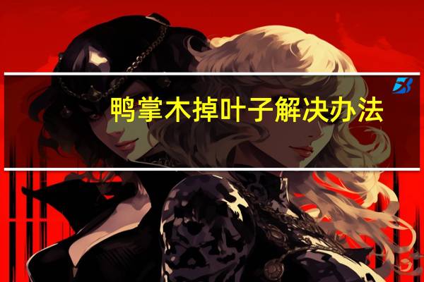 鸭掌木掉叶子解决办法