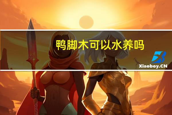 鸭脚木可以水养吗