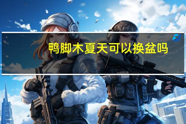 鸭脚木夏天可以换盆吗