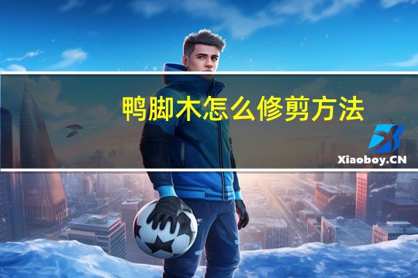鸭脚木怎么修剪方法