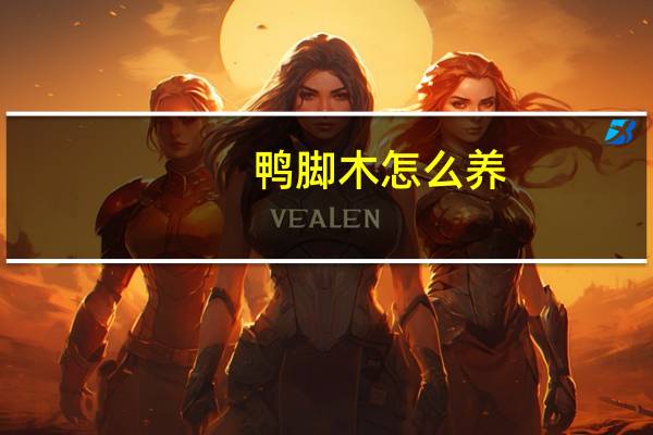 鸭脚木怎么养