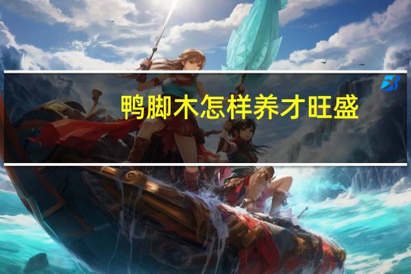 鸭脚木怎样养才旺盛