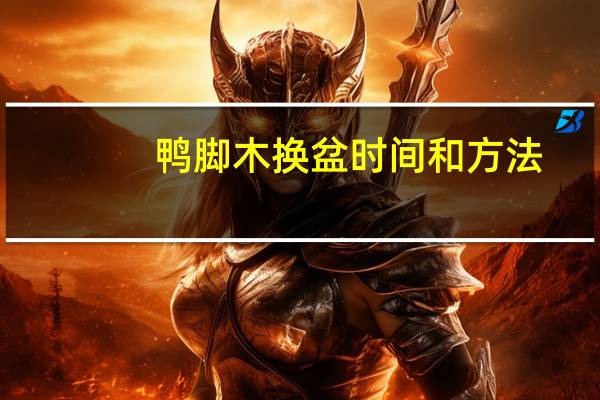 鸭脚木换盆时间和方法