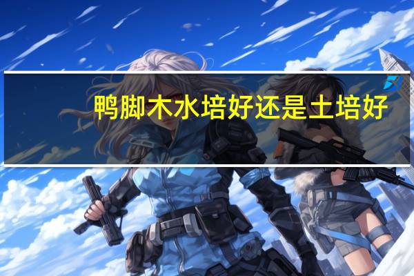 鸭脚木水培好还是土培好