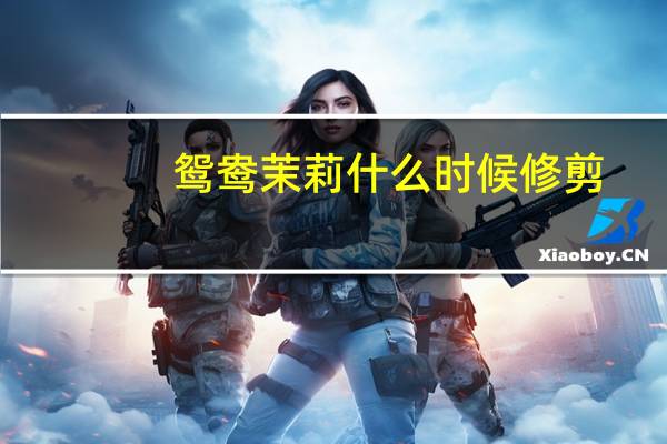 鸳鸯茉莉什么时候修剪