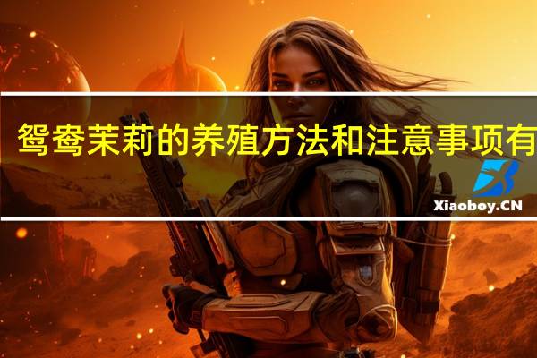 鸳鸯茉莉的养殖方法和注意事项有哪些