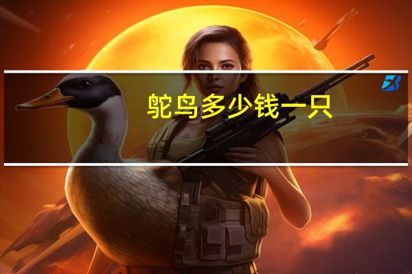 鸵鸟多少钱一只