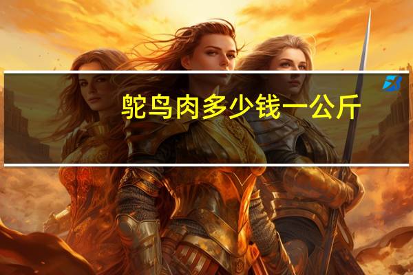 鸵鸟肉多少钱一公斤