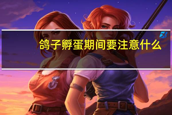 鸽子孵蛋期间要注意什么