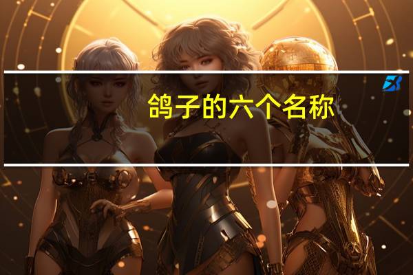 鸽子的六个名称