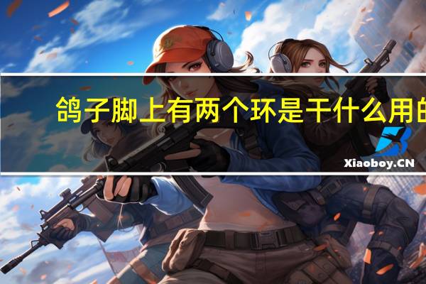 鸽子脚上有两个环是干什么用的