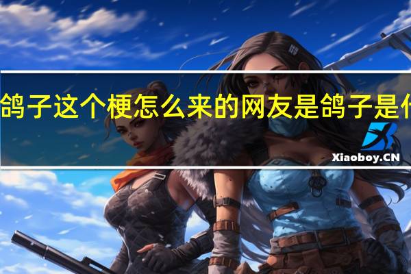 鸽子这个梗怎么来的 网友是鸽子是什么梗