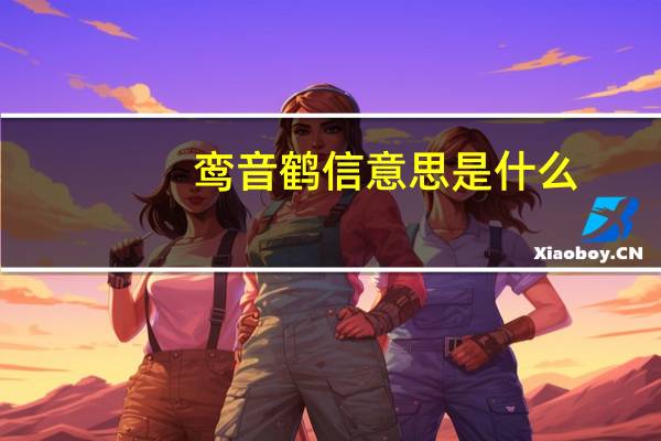 鸾音鹤信意思是什么