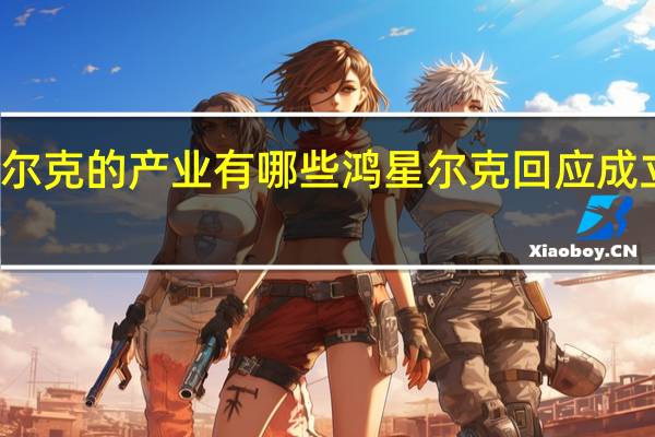 鸿星尔克的产业有哪些 鸿星尔克回应成立实业公司